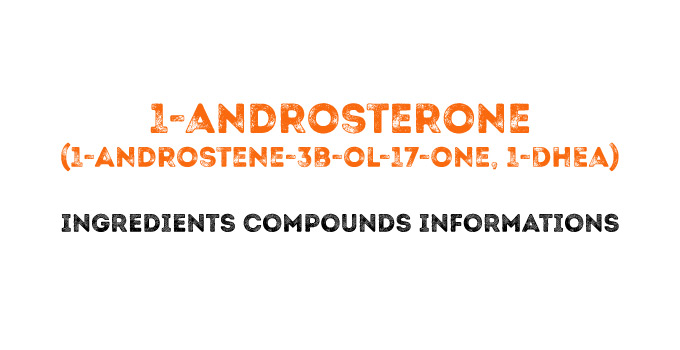 1-Androsterone (1-androstene-3b-ol-17-one, 1-DHEA)