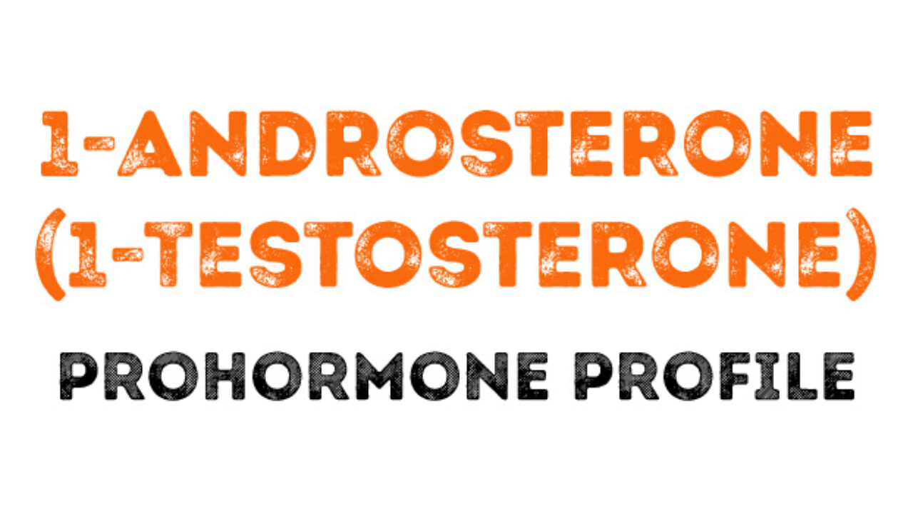 1-Androsterone (1-Testosterone) Prohormone Profile