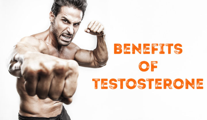 14 amazing benefits of high testosterone in men