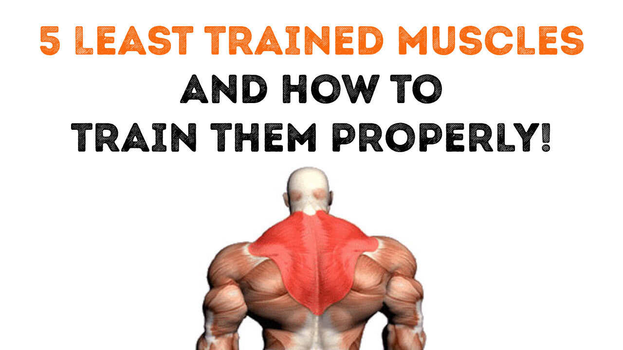 5 Least trained muscles and how to train them properly!