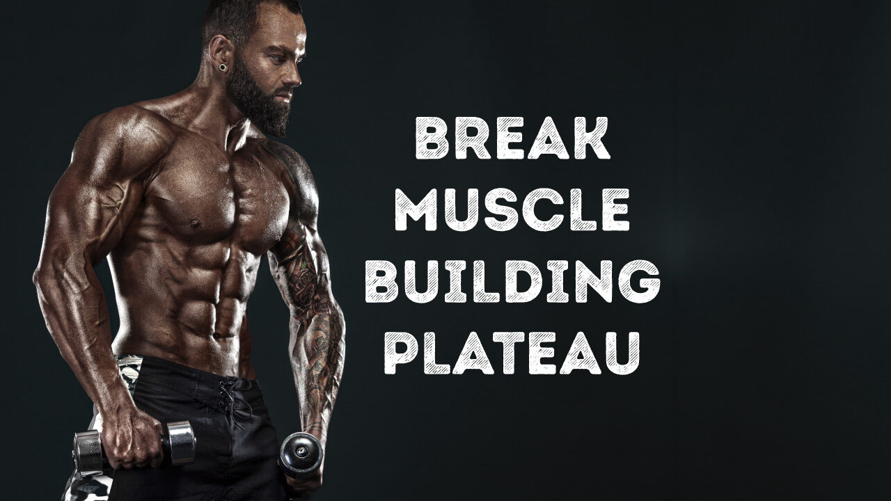 How to break the muscle building plateau?
