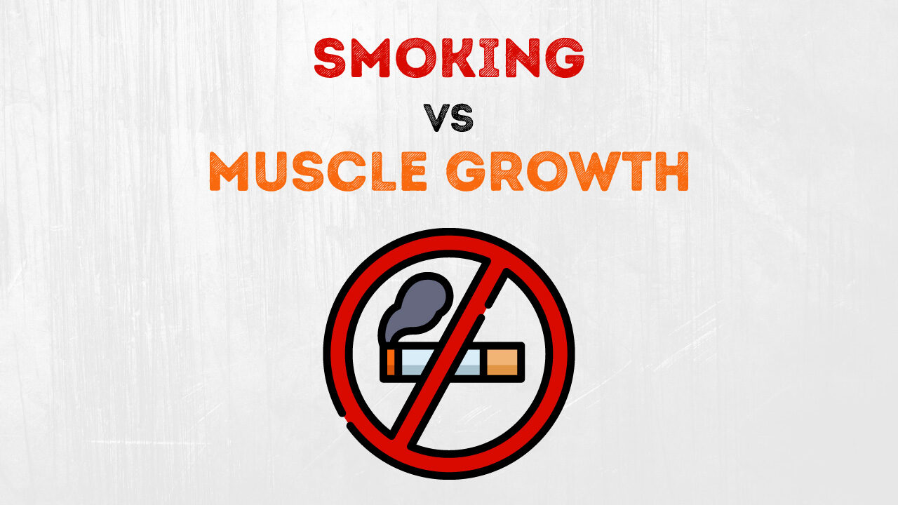 Detailed analysis of the effects of smoking on muscle growth