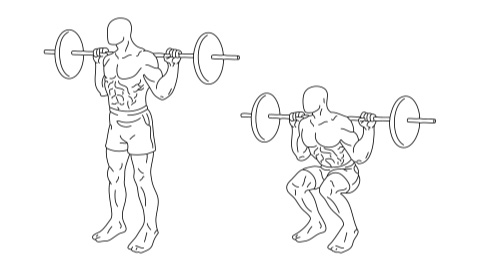 The best smith machine exercises for every muscle group.